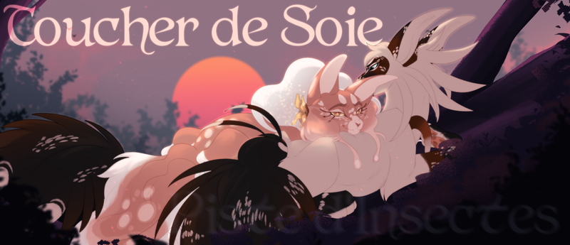 Toucher de Soie