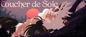 Toucher de Soie
