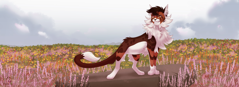 BlazingStar